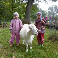 Zwei Mädchen in Regenbekleidung und ein Schaf